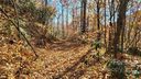 42 Forget Me Not Lane sold home in Waynesville, SC