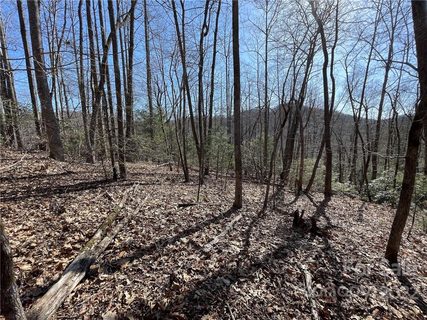 5 6 Acres Cove Road 33B sold lot in Bear Track II, Black Mountain, NC