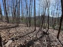 5 6 Acres Cove Road 33B sold home in Black Mountain, SC