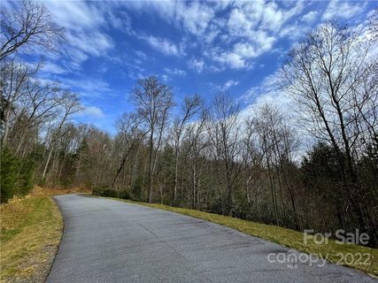 Tbd Mountain Home Trail 71