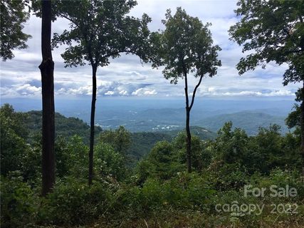 278 Bella Vista Court CVN-CM-011 sold home in The Cliffs Valley, Zirconia, NC
