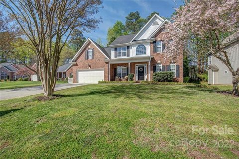 8117 Lockman Lane