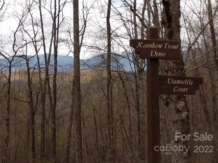 0000 Rainbow Trout Drive 26 sold home in Mountain Brook Estates, Spruce Pine, NC
