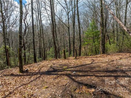 154 Laurel Thicket Drive 98