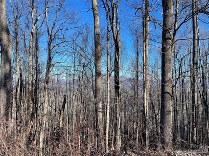 Lot 13 Smokey Ridge Loop