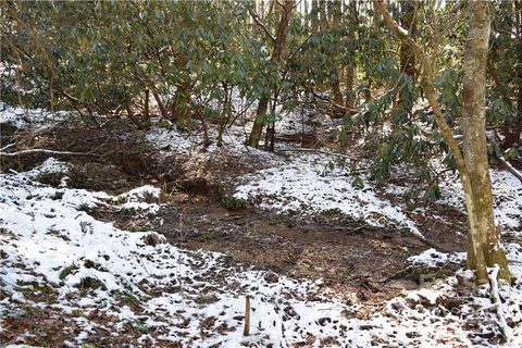 000 Carters Ridge Road sold land listing in Carters Ridge, Spruce Pine, NC