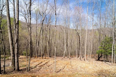 808 Stoney Stream Lane active lot in Avery Park, Arden, NC
