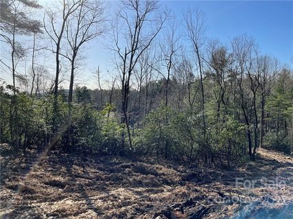 Lot 54 Winterberry Drive sold home in The Wilson Farm, Hendersonville, NC