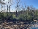 Lot 54 Winterberry Drive sold home in Hendersonville, SC