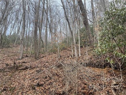 000 Chestnut Branch Road 137,138,139 sold lot in Shoot Out Mountain, Bakersville, NC