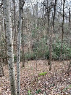 00000 Sand Branch Road sold lot in Dill Trust, Black Mountain, NC