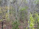 12 Bayonne Trail sold home in Asheville, SC