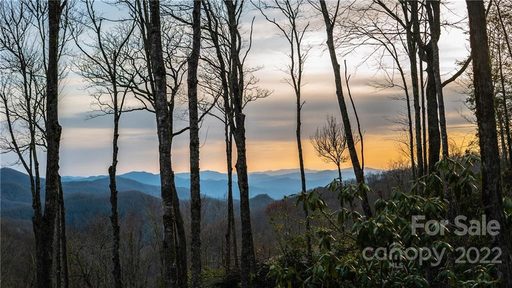 0 774 Acres Centurian Lane 27