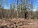 153 View Ridge Parkway 66 sold home in Leicester, SC