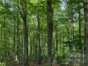 4171 French Broad Parkway 59 sold home in Marshall, SC