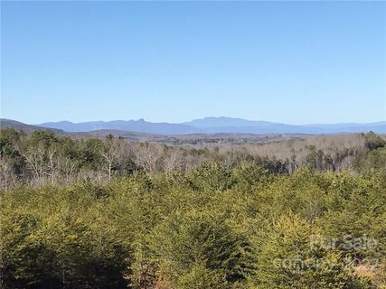 11 Pleasant Ridge Trail 493