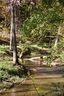 4 Brookridge Lane 48 sold home in Asheville, SC