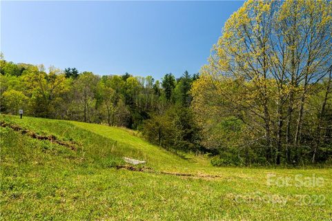 523 Wilma Dykeman Trail 82