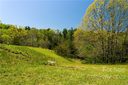 523 Wilma Dykeman Trail 82 sold home in Asheville, SC