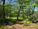 Lot 30 Fawn Hill Drive sold home in Lake Lure, SC