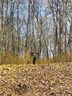 Lot 83r Firesong Lane sold home in Glenville, SC
