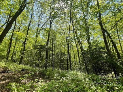 0000 Big Branch Road 53