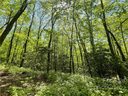 0000 Big Branch Road 53 sold home in Brevard, SC