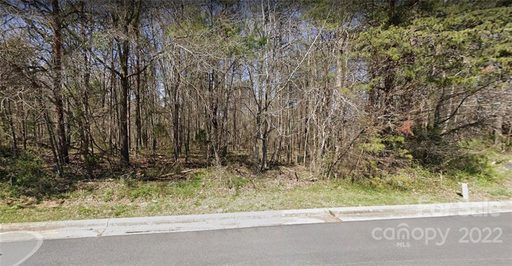 00 Loganberry Lane 10 sold lot in Countryside, Salisbury, NC
