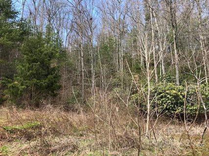 0 Firefly Trail sold home in Firefly Mountain, Marshall, NC