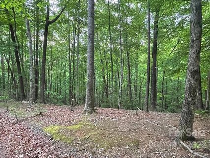 Lot 25 Garden Lane sold home in The Camp at Lake Lure, Lake Lure, NC