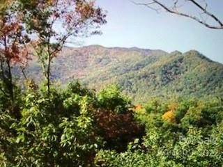 10 Honeysuckle Drive #10