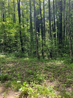 000 North Pointe Drive LOT #6