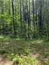 000 North Pointe Drive LOT #6 sold home in Zirconia, SC