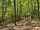 Lot J 103 Mulberry Circle J-103 sold home in Brevard, SC
