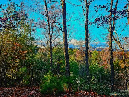 Lot 31 Peaks Drive