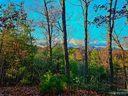 Lot 31 Peaks Drive sold home in Lake Lure, SC