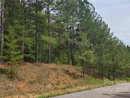 0 Sunset Drive 13 sold home in Hillcrest, Mill Spring, NC