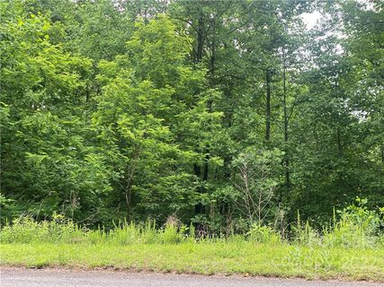 1357 Pisgah Preserve Drive 25, 25A