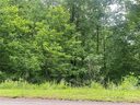 1357 Pisgah Preserve Drive 25, 25A sold home in Nebo, SC