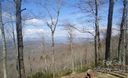 132 Whitetail Trail sold home in Rosman, SC