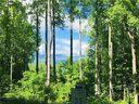 1412 Easy Wind Drive sold home in Swannanoa, SC