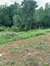 1250 39th Street Circle sold home in Hickory, SC