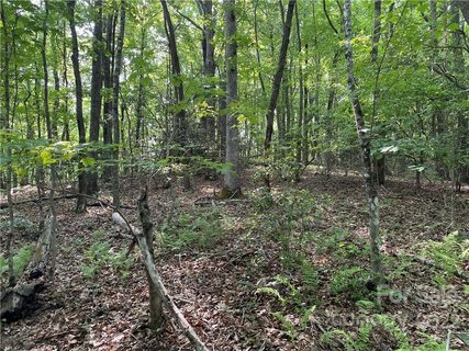 235 Ravenwood Lane sold home in Ravenwood Forest, Horse Shoe, NC