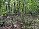 235 Ravenwood Lane sold home in Horse Shoe, SC