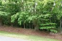 105 Tahawus Drive sold home in Bostic, SC
