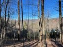 64 Longspur Lane 61 sold home in Asheville, SC