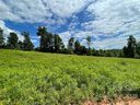 163 Four Andrews Drive sold home in Harmony, SC