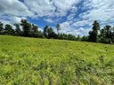 169 Four Andrews Drive sold home in Harmony, SC