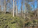Tbd Pisgah Forest Drive 10 sold home in Pisgah Forest, SC