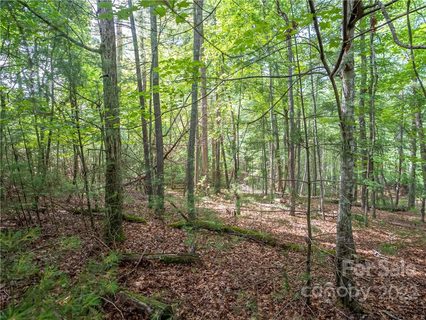 000 Cedar Hill Drive 24